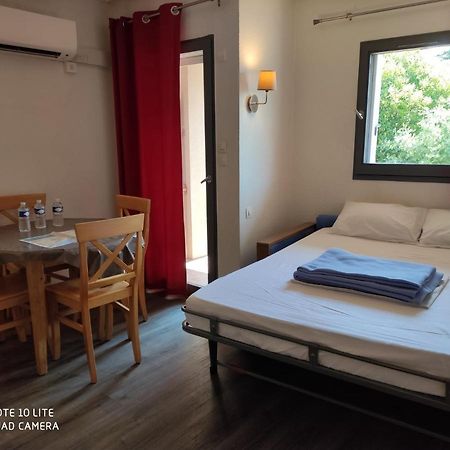 Appartement Les Palmiers Nice Bagian luar foto