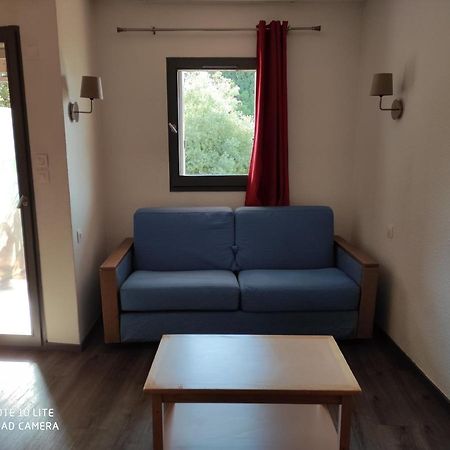 Appartement Les Palmiers Nice Bagian luar foto